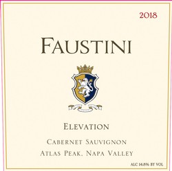 2018 Faustini Elevation